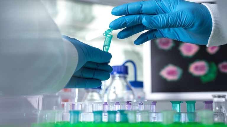 جدري القرود تم رصده في 20 دولة حول العالم- أرشيفية