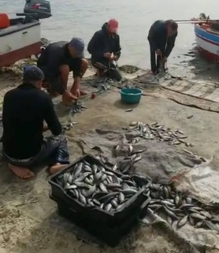سمك الشاوري في بنزرت التونسية.. مهرجان سنوي يحيي عادات الأجداد - صورة 2