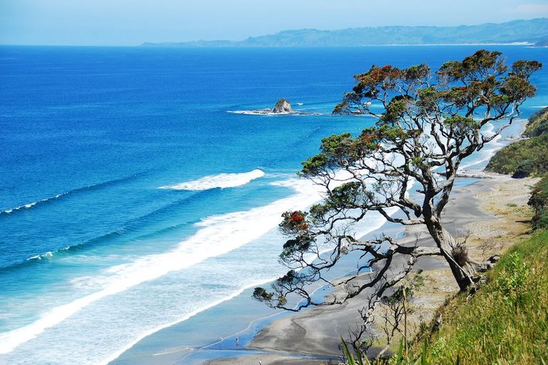 شاطئ نورثلاند من أجمل شواطئ نيوزيلندا أجمل شواطئ نيوزيلندا..7 شواطئ لا مثيل لها على الأرض