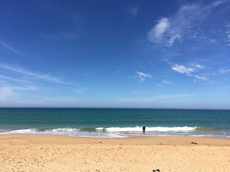 شاطئ بروس باي من أجمل شواطئ نيوزيلندا أجمل شواطئ نيوزيلندا..7 شواطئ لا مثيل لها على الأرض