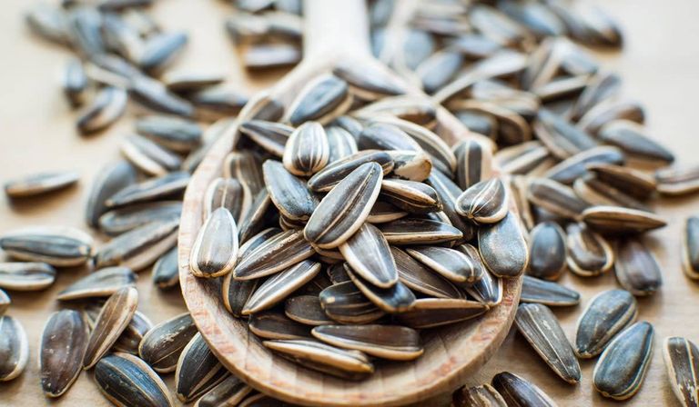 فوائد اللب السوري اللب السوري يتميز بفوائد عديدة