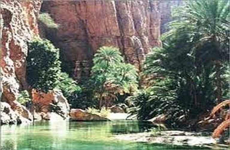 السياحة البيئية أحد أنواع السياحة حول العالم أنواع السياحة...9 أنواع من السياحة أبرزها السياحة الشاطئية