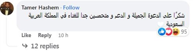 المطرب المصري حمزة نمرة