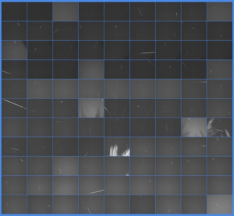 مركز الفلك الدولي التقط 1500 صورة من سماء الإمارات لزخة الشهب 