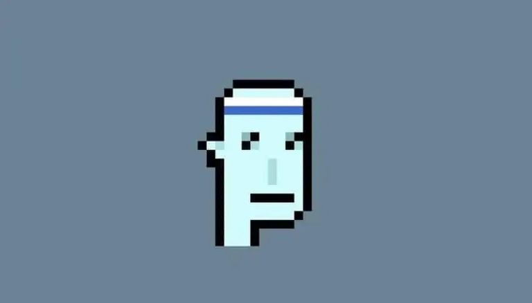 CryptoPunk #3100 رمز World Wide Web source code