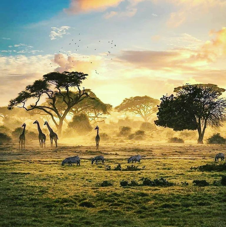 حديقة Boma National Park