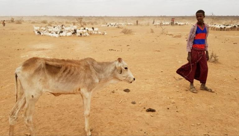 الجفاف يهدد الصومال