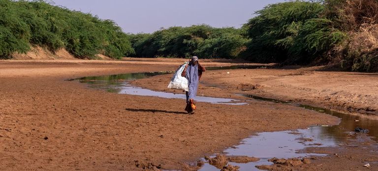 الصومال ينزلق إلى المجاعة.. مأساة مرعبة في عالم مشغول فحص طفل في الصومال تحسبا من سوء التغذية