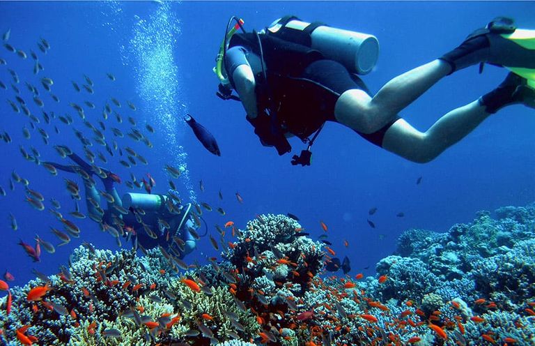 الجوبال أحد المعالم السياحية الأعلى تقييمًا في الغردقة