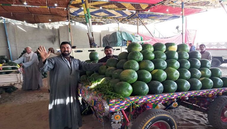 البطيخ من فاكهة الصيف المحببة