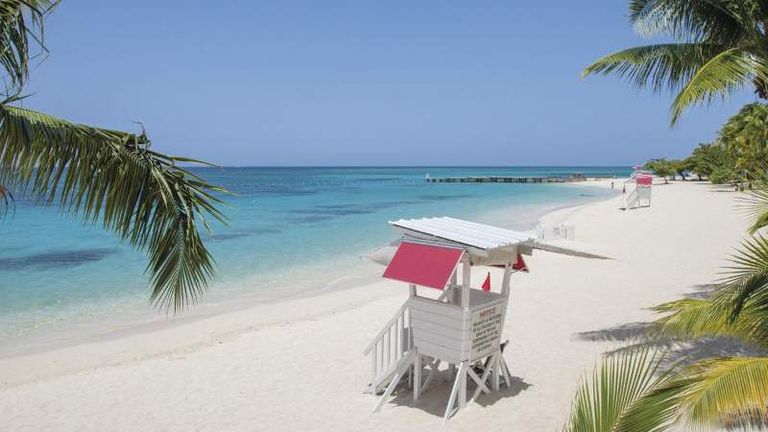 Jamaica..a bird paradise and charming nature السياحة في جامايكا