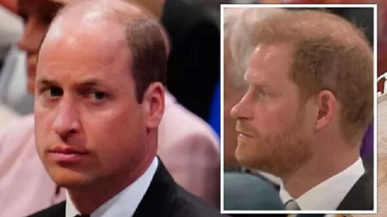 الأمير هاري وشقيقه الأمير ويليام - أرشيفية