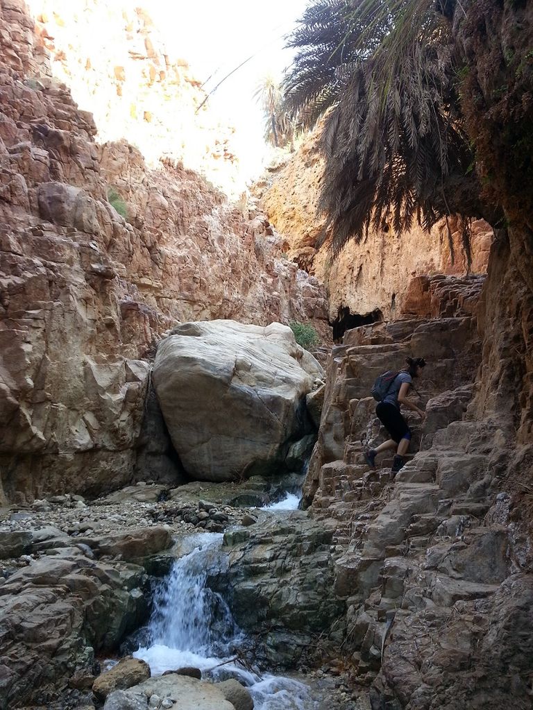 وادي أبو خشيبة - الأردن