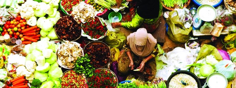 اليوم العالمي لسلامة الأغذية 2022