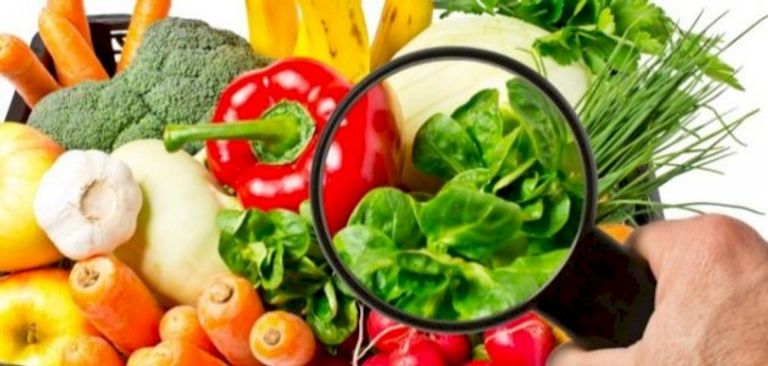 اليوم العالمي لسلامة الأغذية 2022