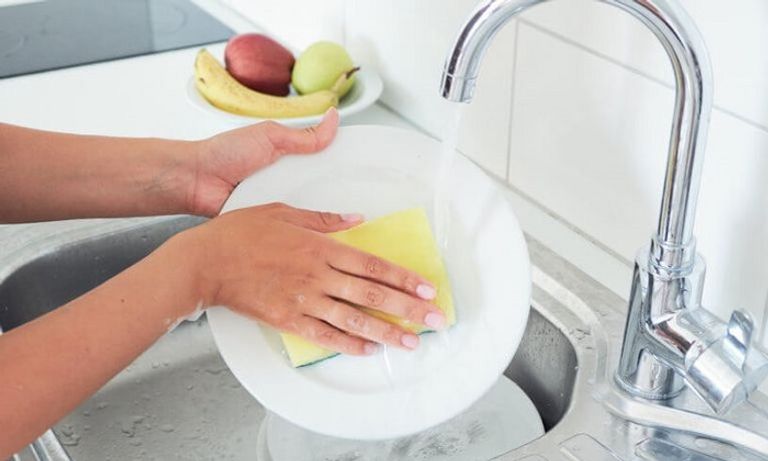 الإسفنج يعد مخزنا للبكتيريا الضارة