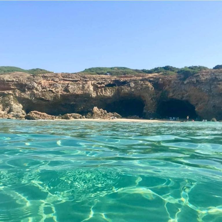 صورة لرأس أنجلة التونسية