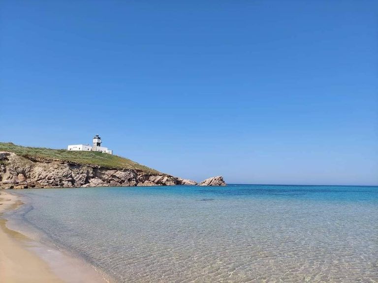 صورة لرأس أنجلة التونسية