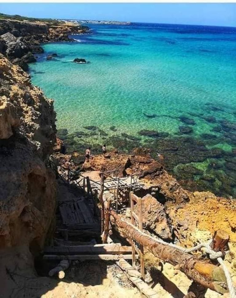 صورة لرأس أنجلة التونسية