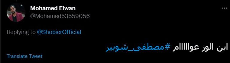 مصطفى شوبير