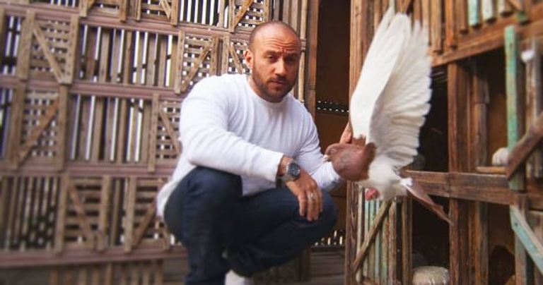 الفنان المصري أحمد مكي مع طائر يمتلكه