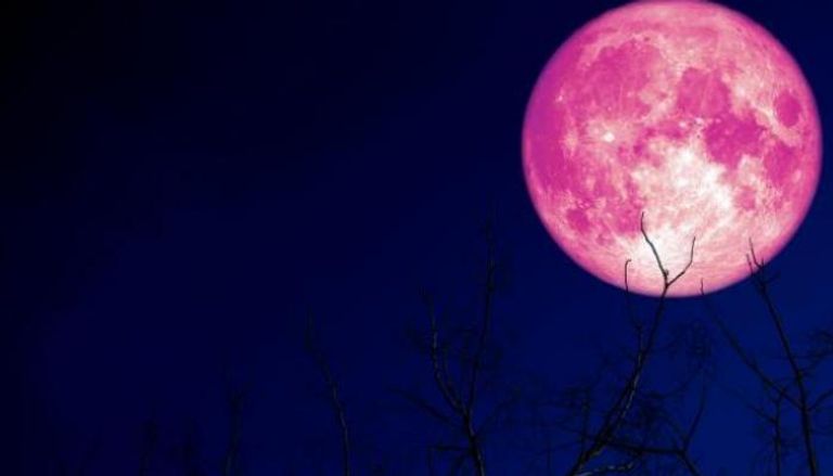 قمر الفراولة أو القمر الوردي