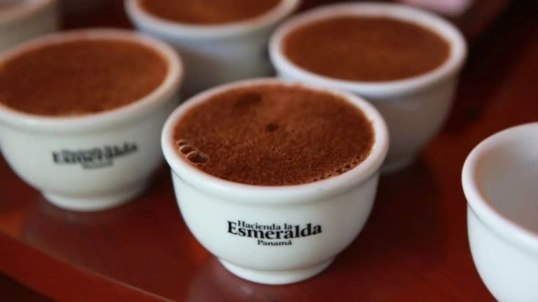 قهوة Hacienda La Esmeralda قهوة Hawaiian Kona