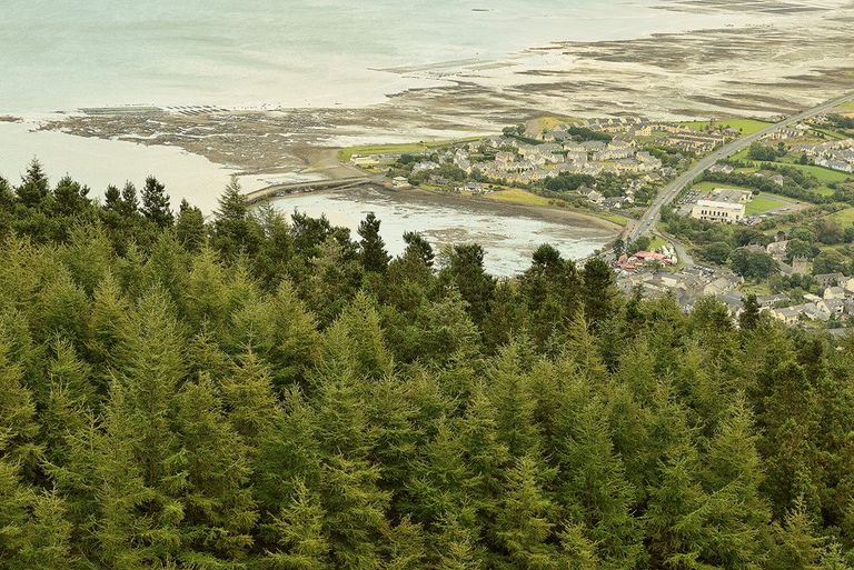 كارلينجفورد Carlingford مدينة كيلارني Killarney