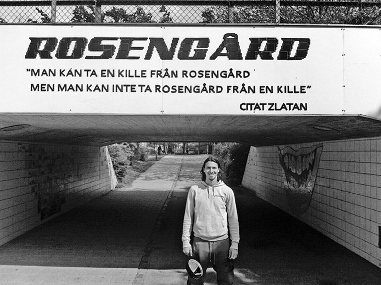 زلاتان إبراهيموفيتش