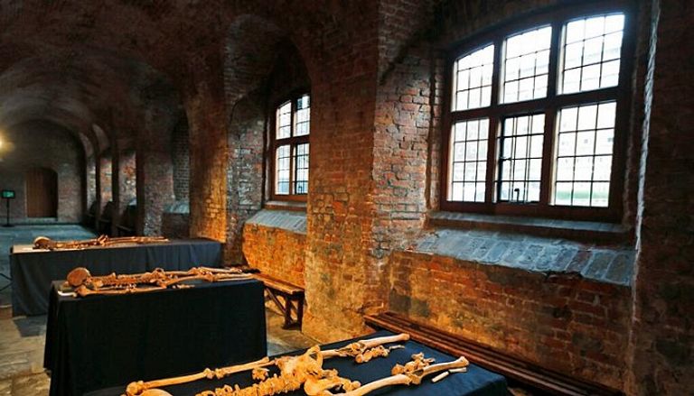 القوارض خاصة الفئران مسؤولة عن نقل الطاعون