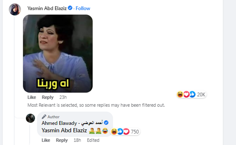 ياسمين عبدالعزيز وأحمد العوضي