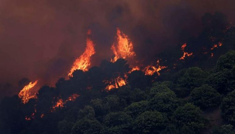 ارتفاع الحرارة يشعل غابات إسبانيا