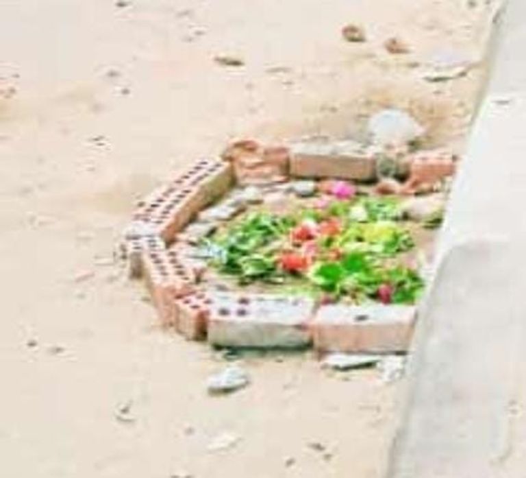 جدارية نيرة أشرف على سور جامعة المنصورة