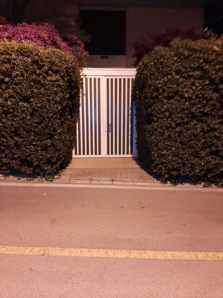 حاكم مصرف لبنان رياض سلامة