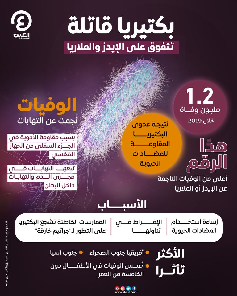 بكتيريا S. Typhi المسببة لحمى التيفود