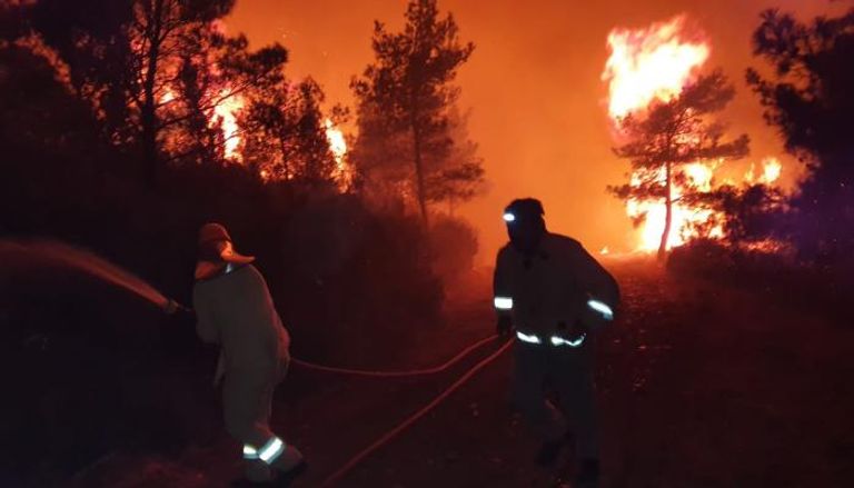 محاولات لإخماد الحرائق بغابات موغلا في تركيا