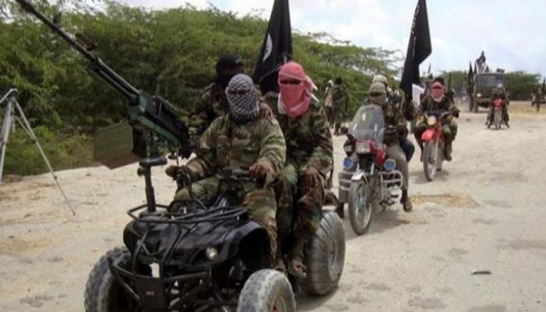 عناصر مسلحة من تنظيم بوكو حرام الإرهابي - أرشيفية