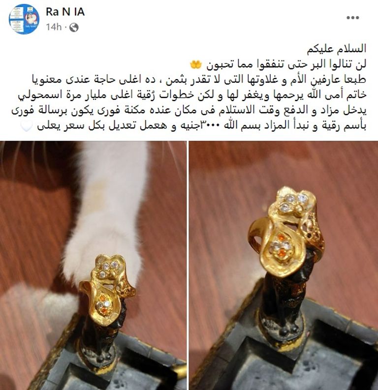 الطفلة المصرية رقية