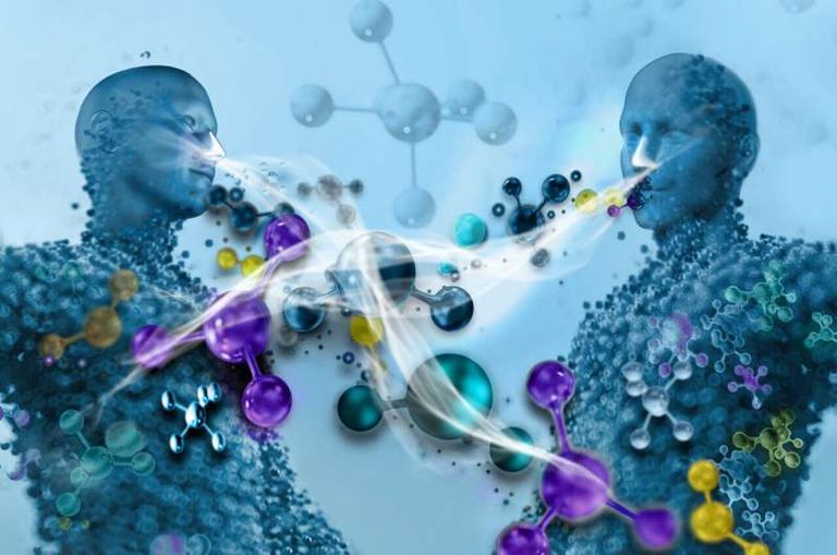 رائحة الجسم المتشابهة تتنبأ بالصداقة