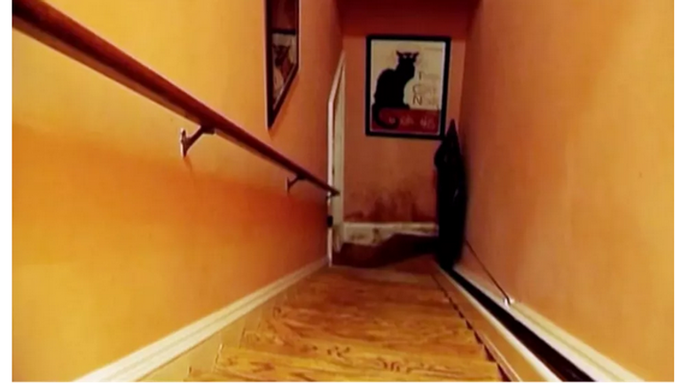 ملصق وثائقي أبانا على نتفليكس