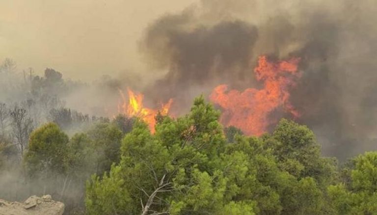 حرائق بغابات محافظة سطيف الجزائرية