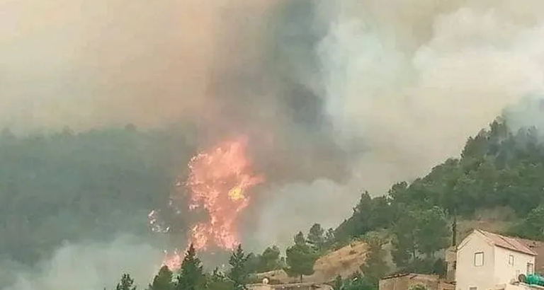 حرائق بغابات محافظة سطيف الجزائرية حرائق بغابات محافظة سطيف الجزائرية