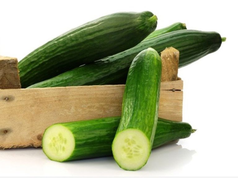 الخيار يعتبر كنزا من الفيتامينات والمعادن - أرشيفية