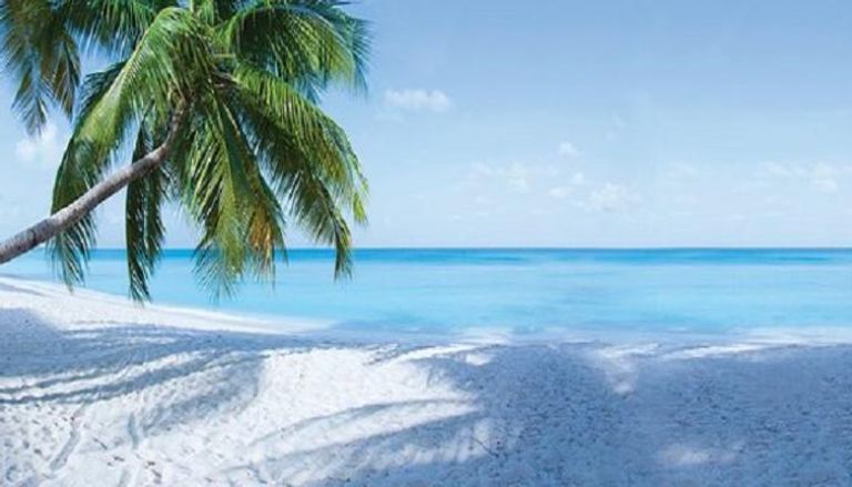 شواطئ جزر كايمان.. أفضل 5 شواطئ "ساحرة" في البحر الكاريبي