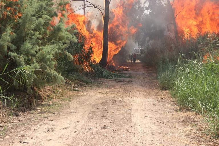 نيران متصاعدة في غابات الموصل