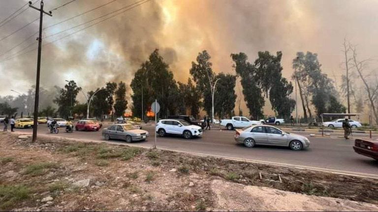 نيران متصاعدة في غابات الموصل