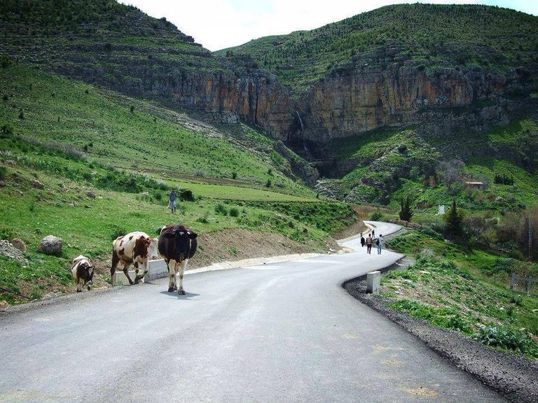 شلال تامدة شرقي الجزائر - أرشيفية