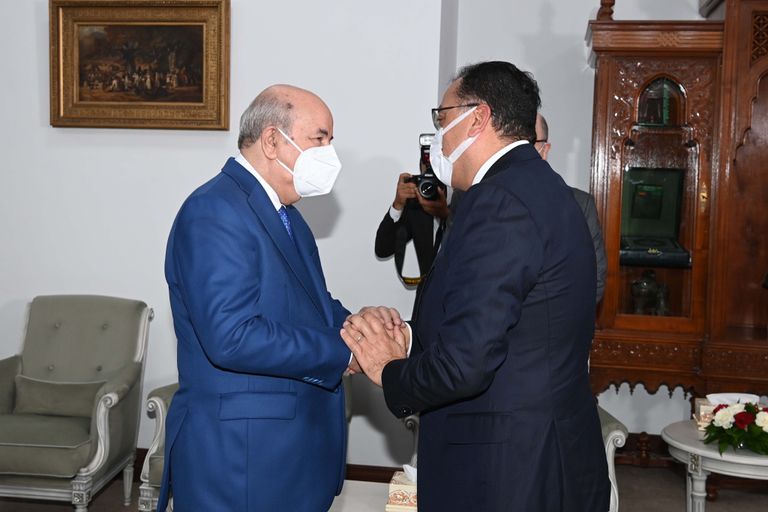 استقبال الرئيس الجزائري لرئيس الوزراء المصري الرئيس الجزائري يتسلم رسالة خطية من نظيره المصري