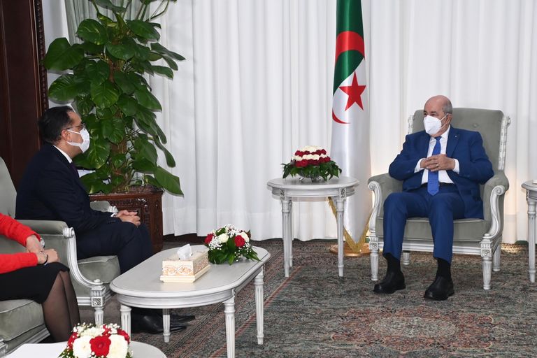 استقبال الرئيس الجزائري لرئيس الوزراء المصري الرئيس الجزائري يتسلم رسالة خطية من نظيره المصري