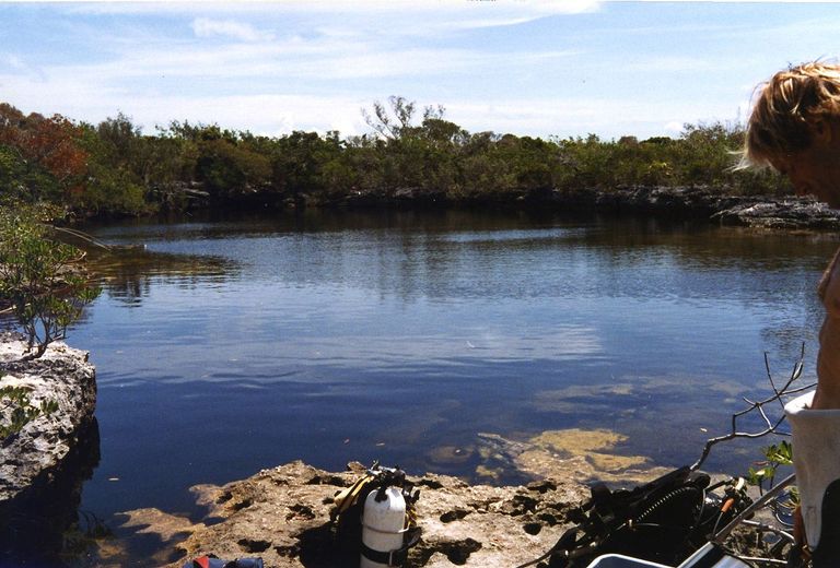 جزيرة أندروس باريير ريف أحد أماكن السياحة في جزر البهاما السياحة في جزر البهاما… 5 أماكن من روائع الكون في البحر الكاريبي